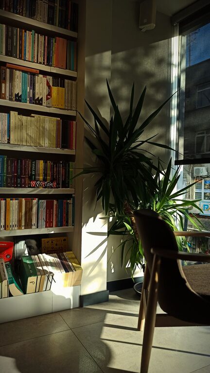 How to Create a Cozy Reading Nook in Any Space